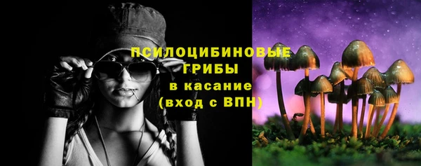 прущие грибы Семёнов