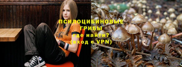 spice Семилуки