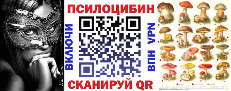 Псилоцибиновые грибы Psilocybine cubensis  Новоалтайск 